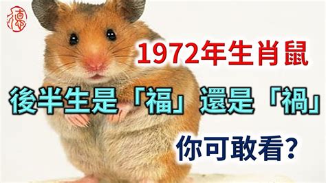 1972 年生肖